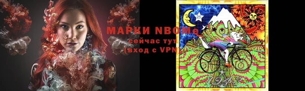 сатива Белокуриха