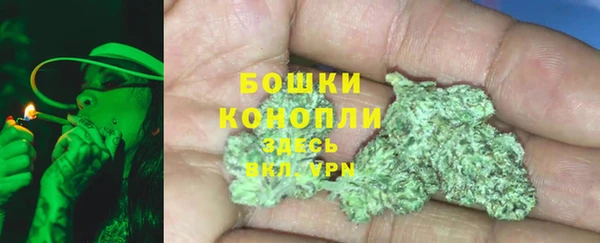 сатива Белокуриха