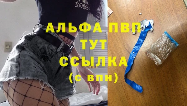 сатива Белокуриха