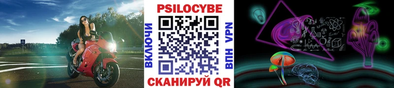 цена   Купино  Псилоцибиновые грибы MAGIC MUSHROOMS 