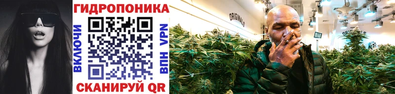 МЕГА ссылка Купино Бошки марихуана White Widow цена наркотик